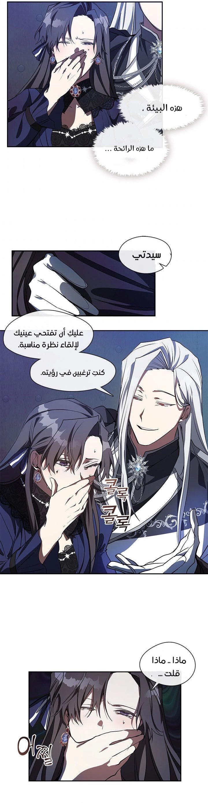 الصفحة 12