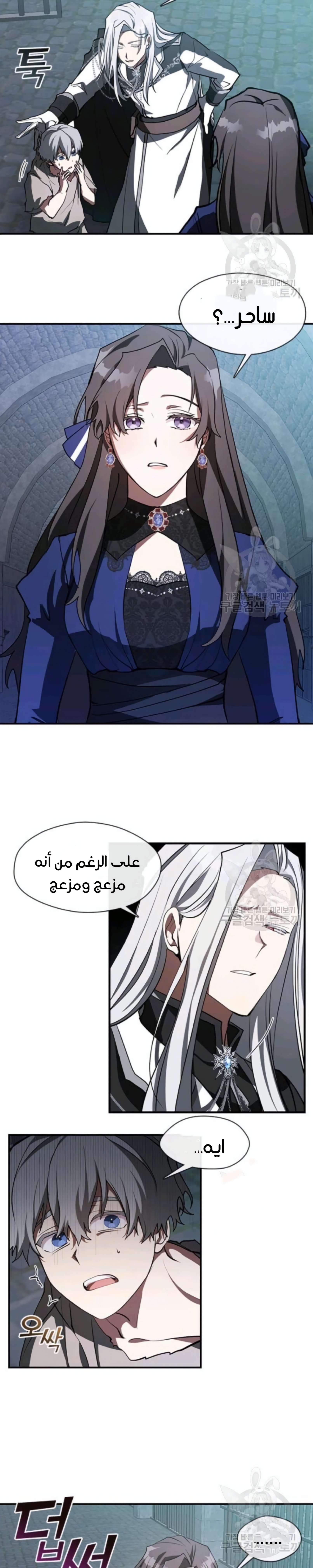 الصفحة 13