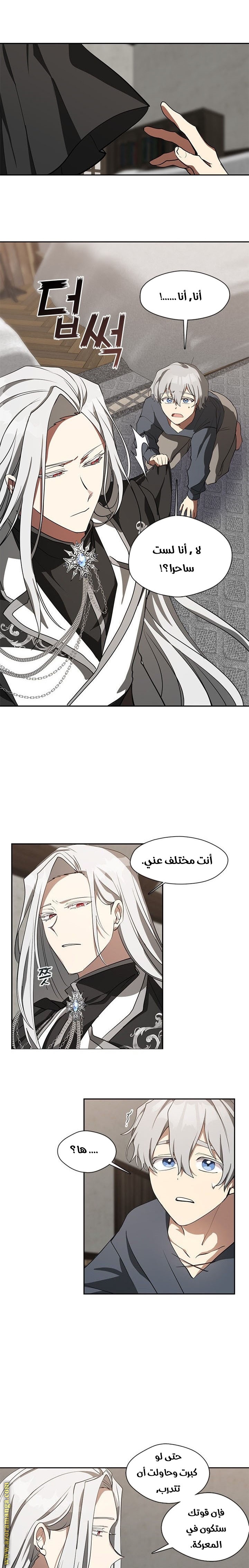 الصفحة 13