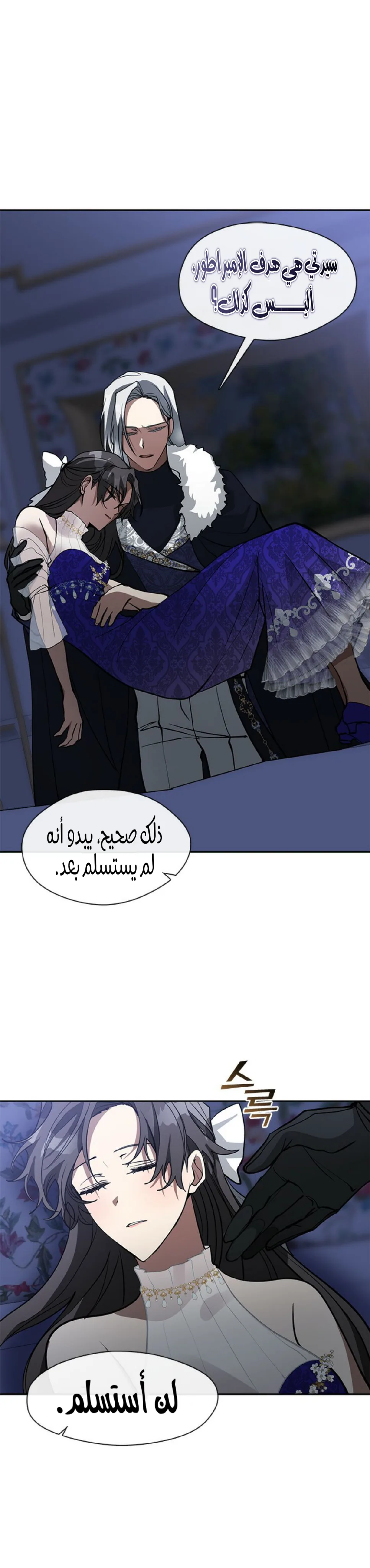 الصفحة 29