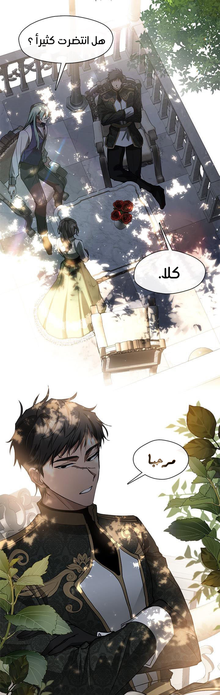 الصفحة 11
