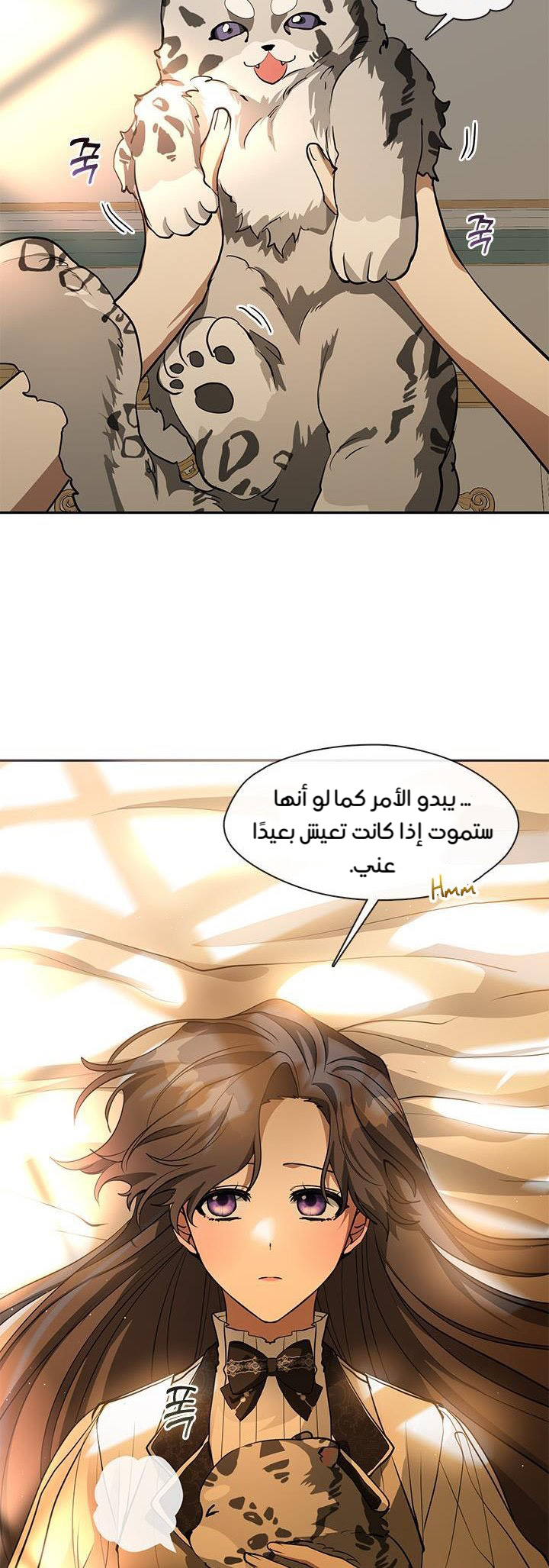 الصفحة 38