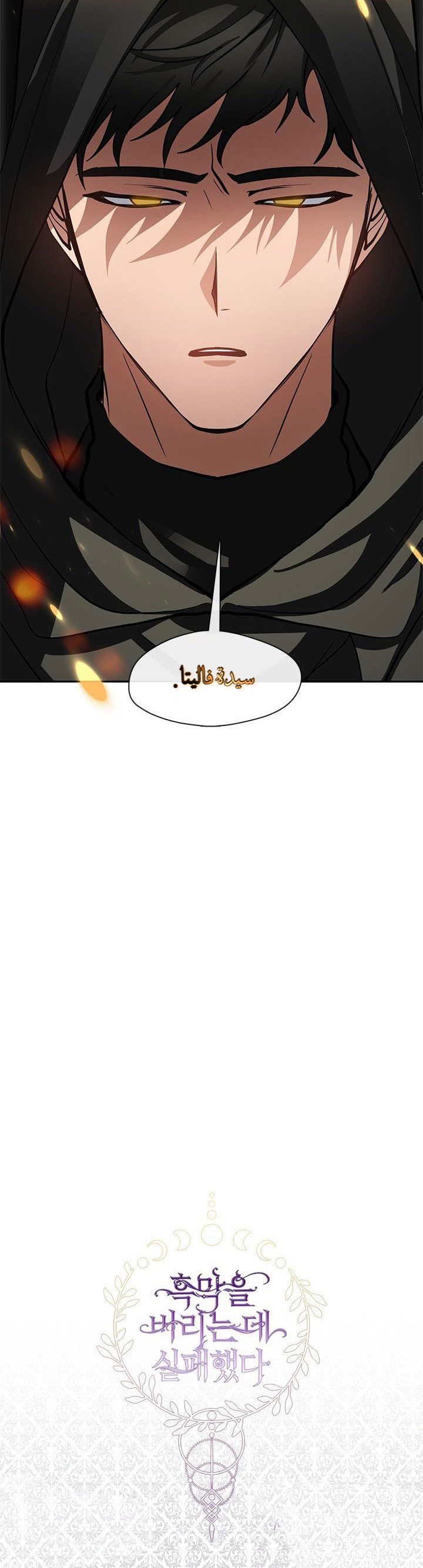 الصفحة 43