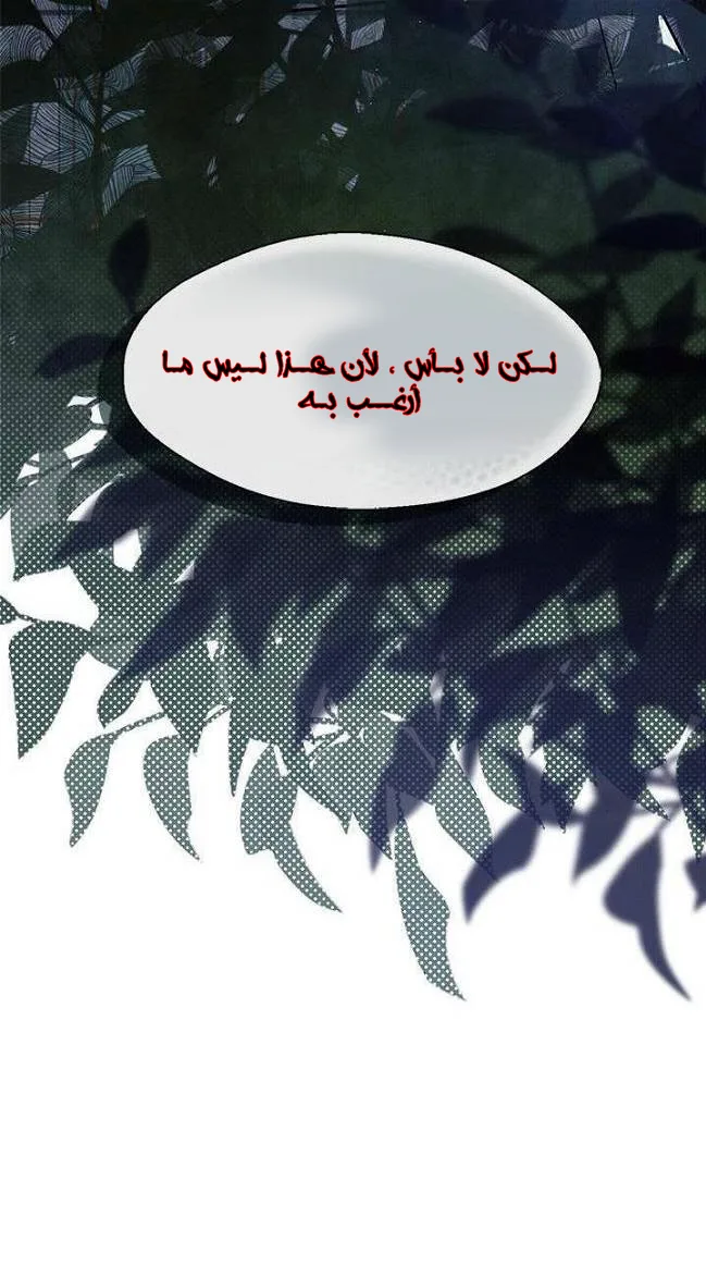 الصفحة 47