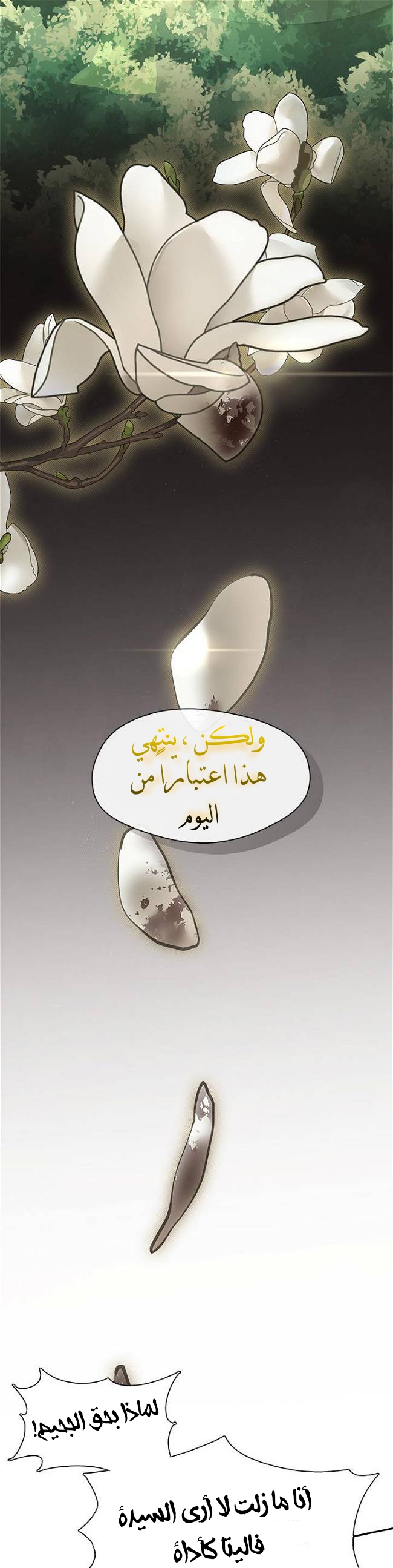 الصفحة 21