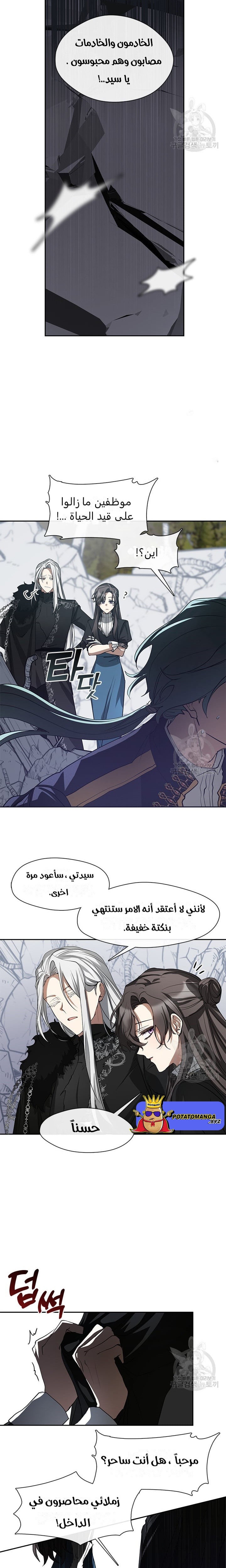الصفحة 17