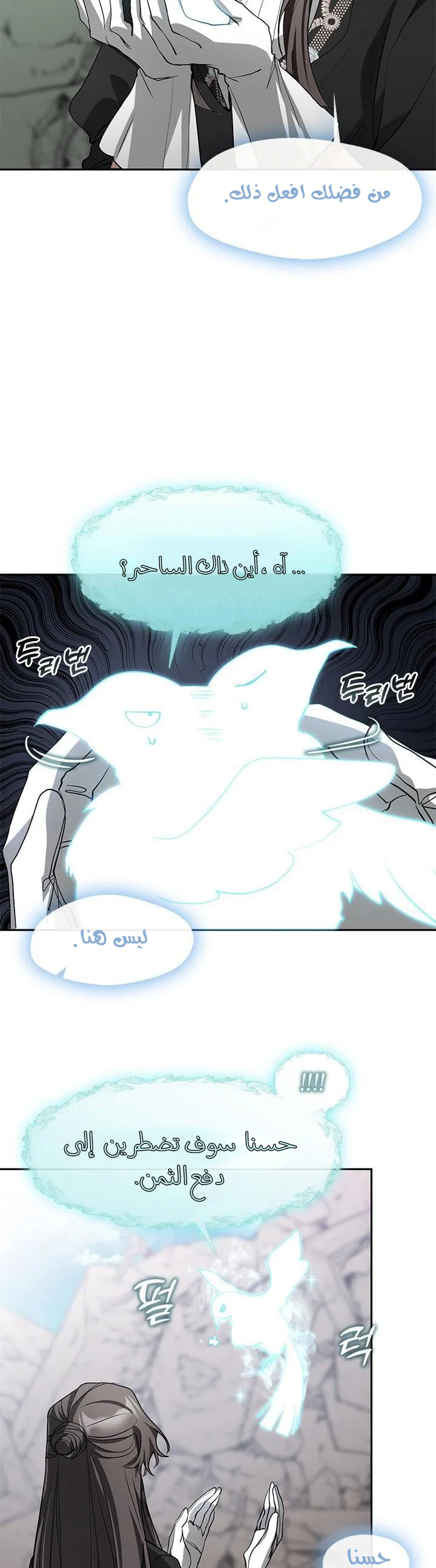 الصفحة 13