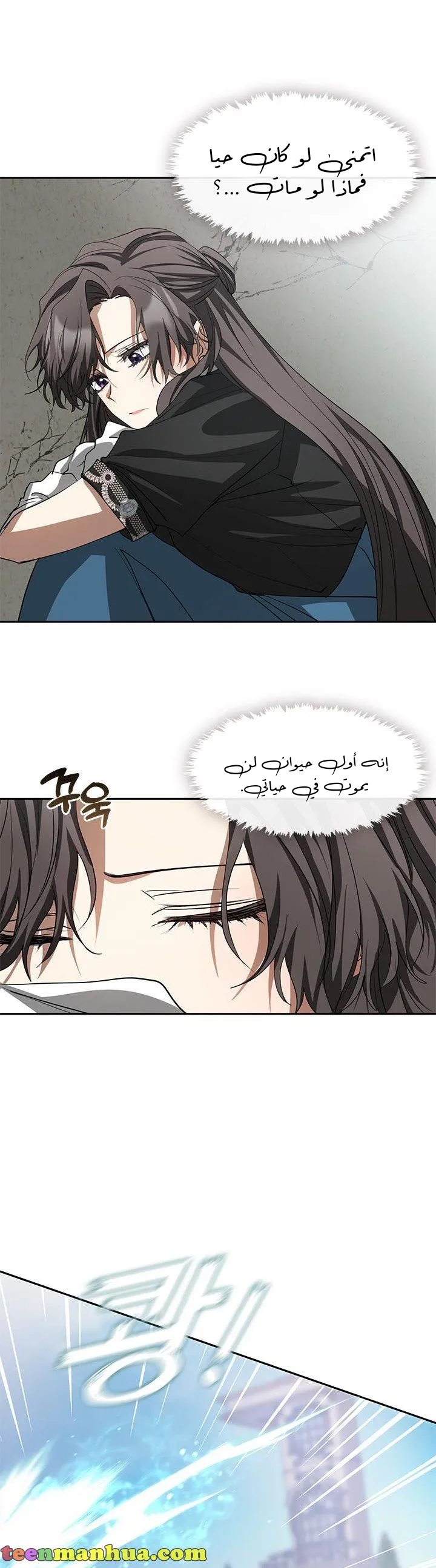 الصفحة 17