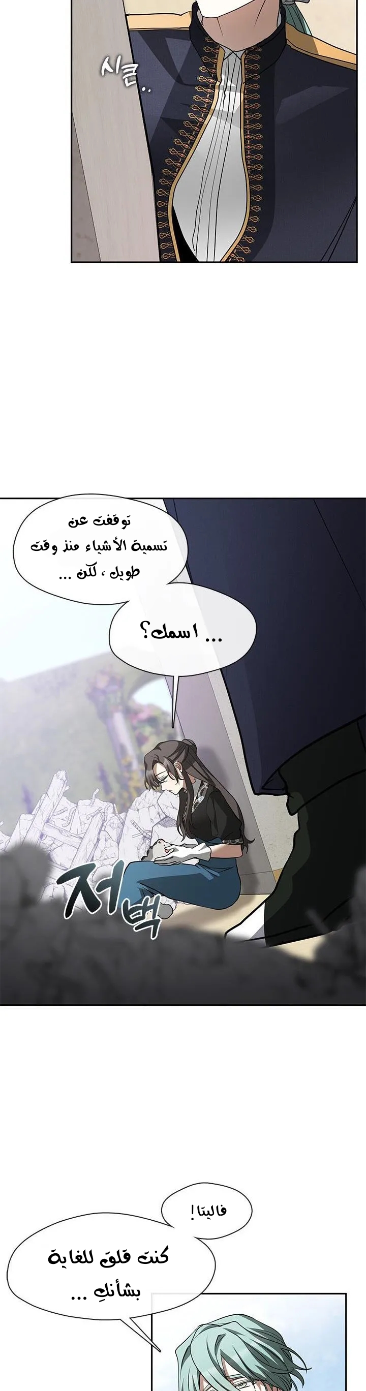 الصفحة 29