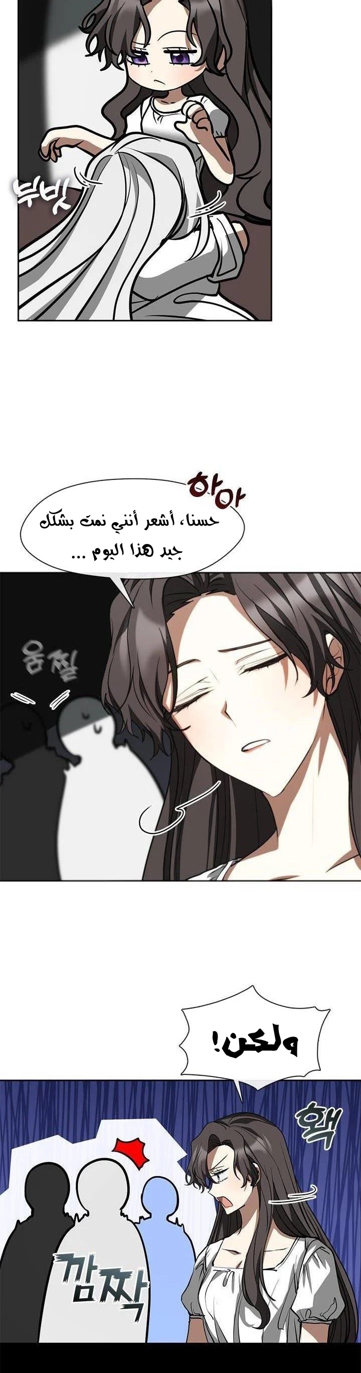 الصفحة 25