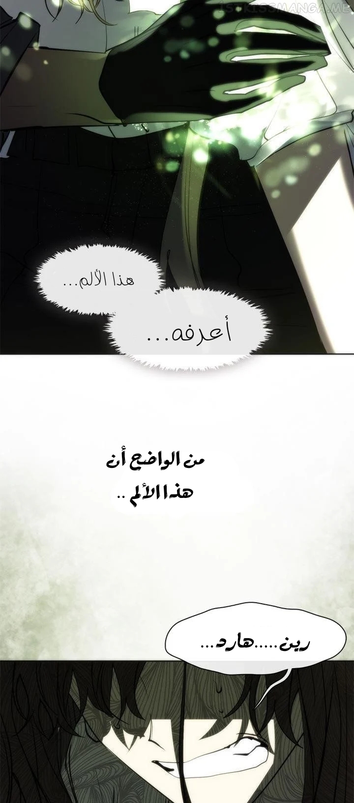 الصفحة 41