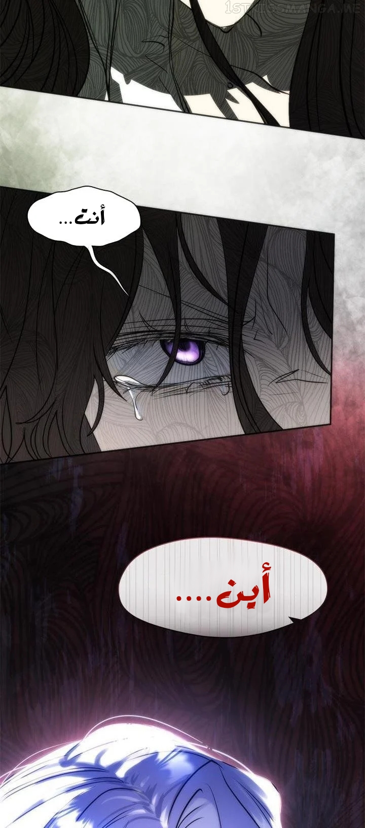 الصفحة 42