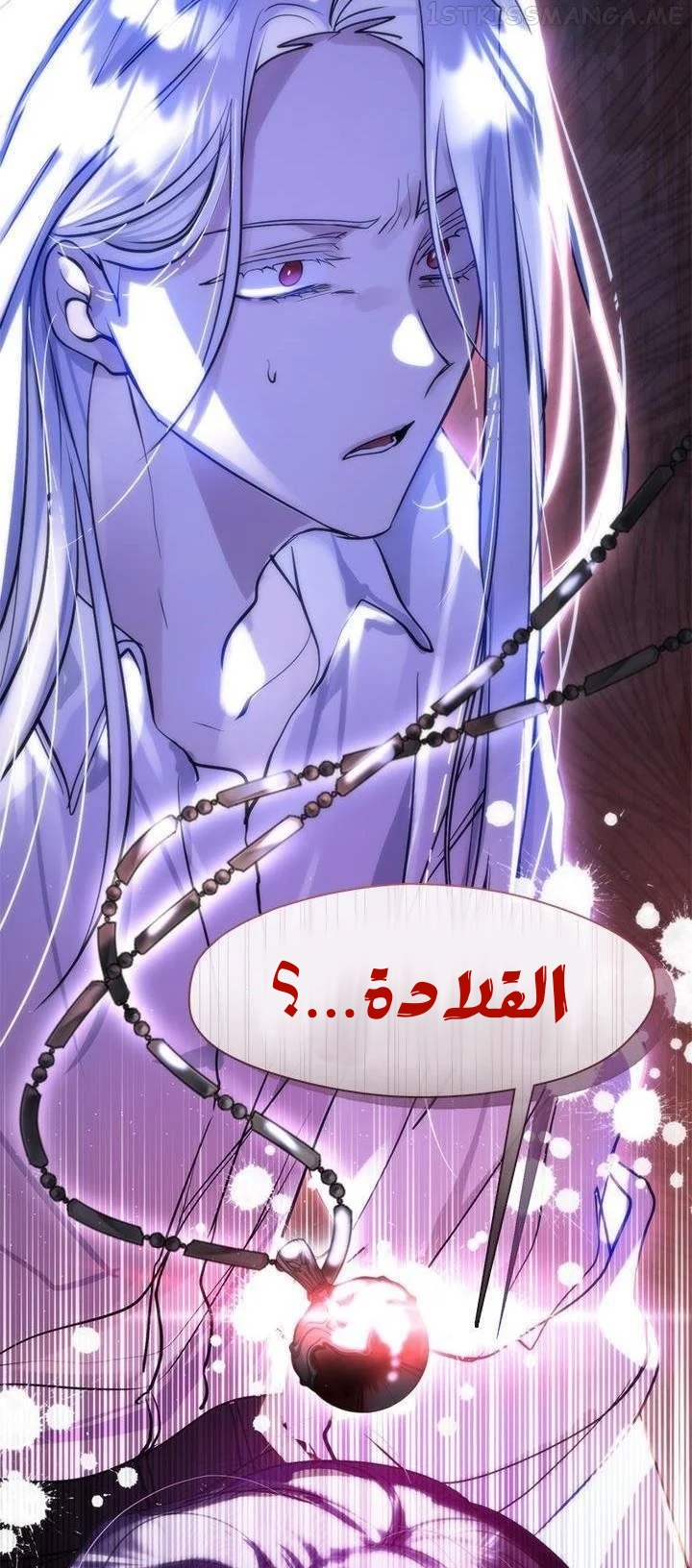 الصفحة 43