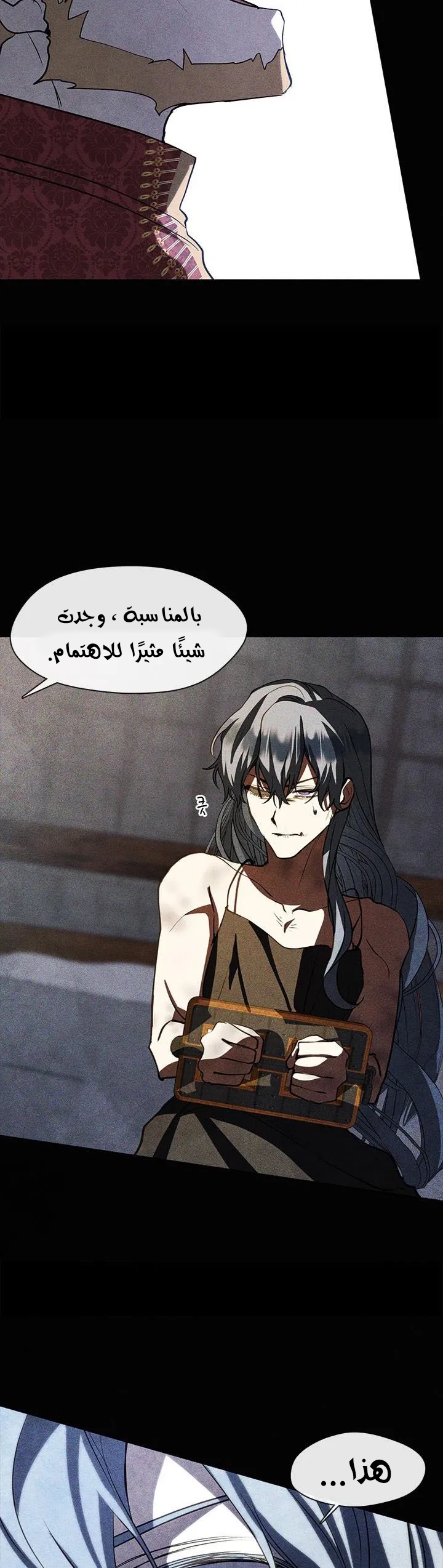 الصفحة 28