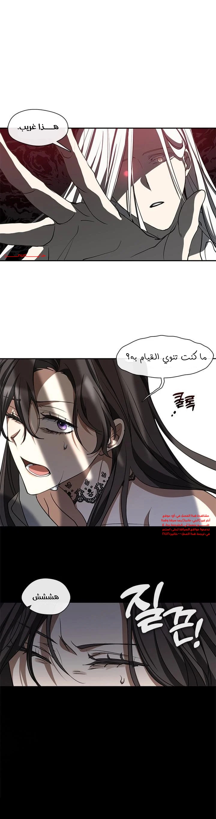 الصفحة 25