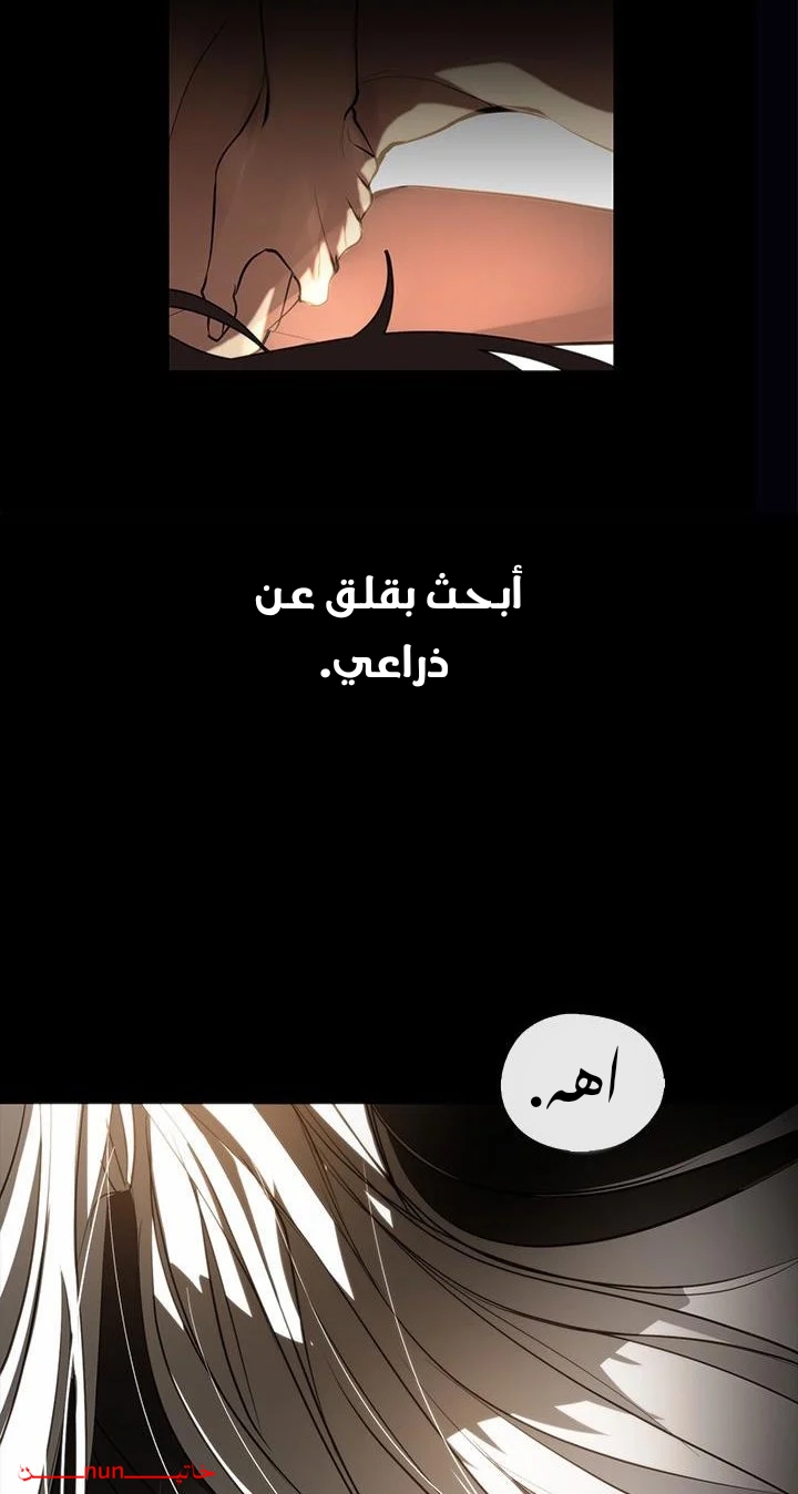 الصفحة 40