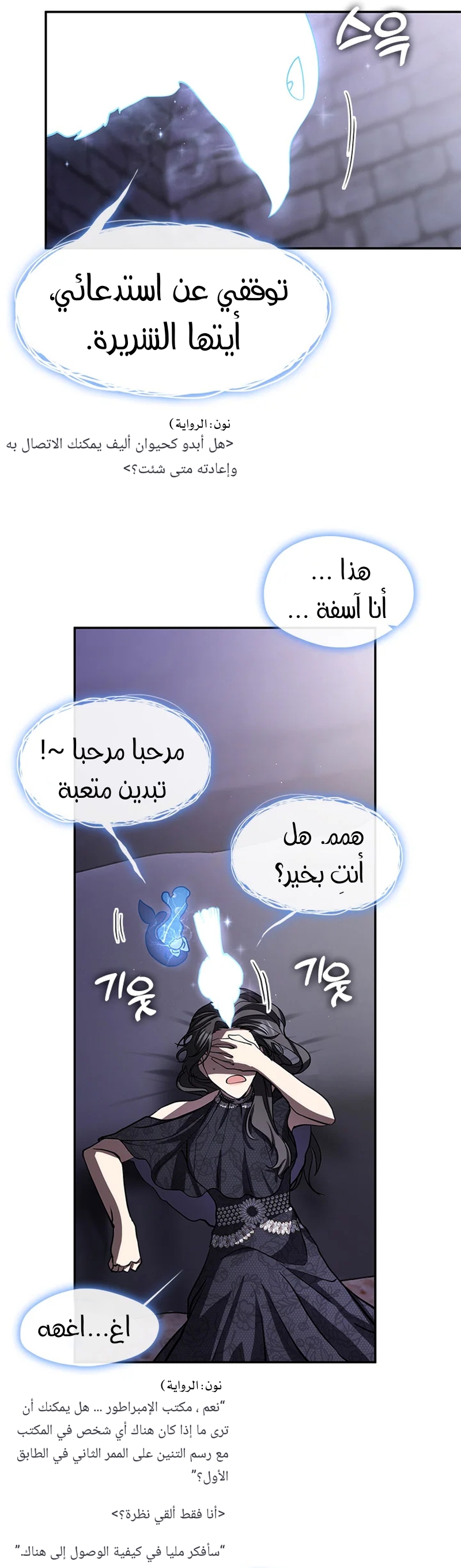 الصفحة 13