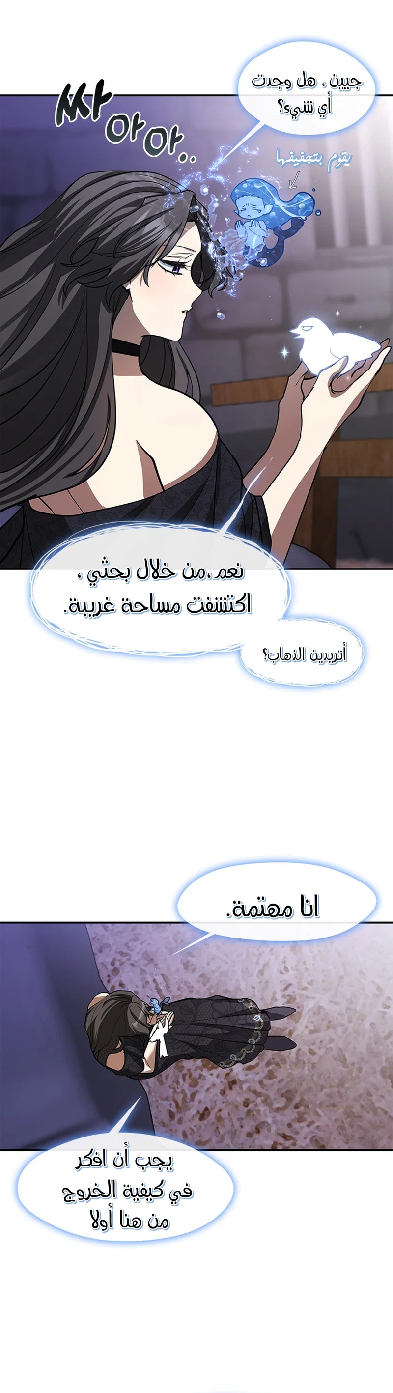 الصفحة 24