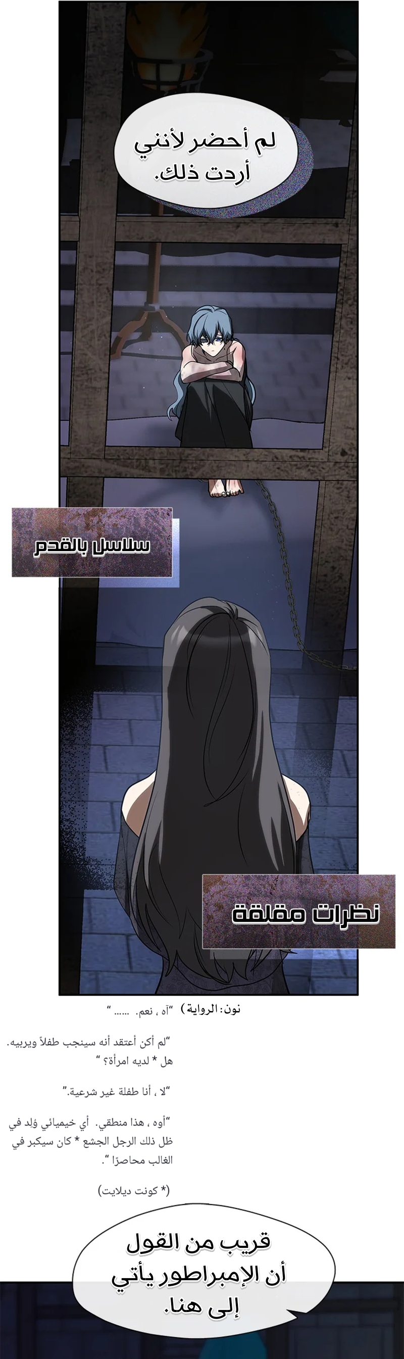 الصفحة 11