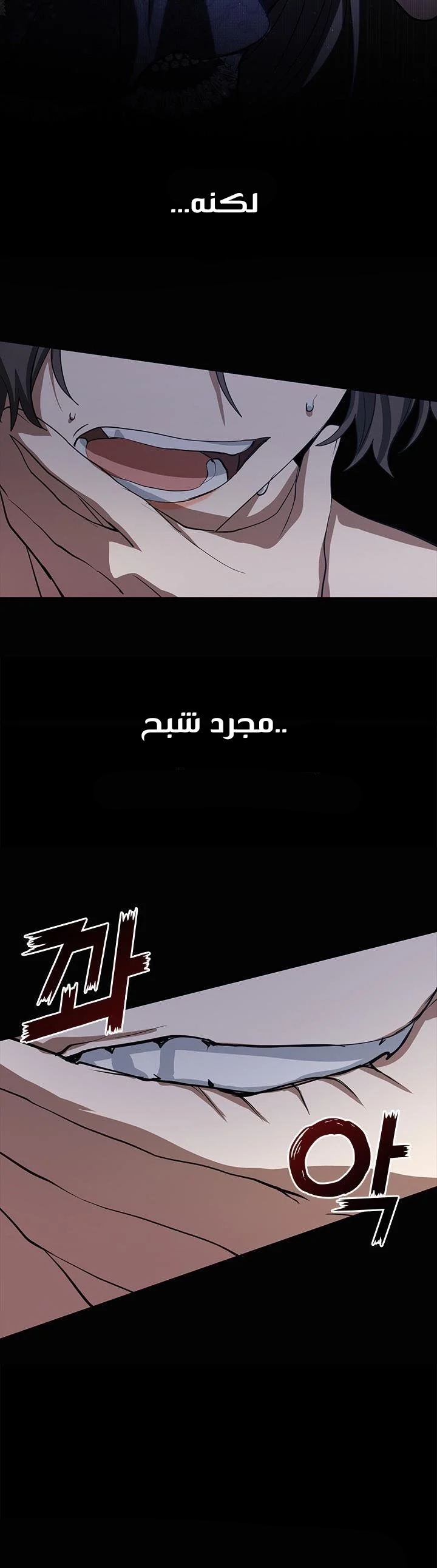 الصفحة 29
