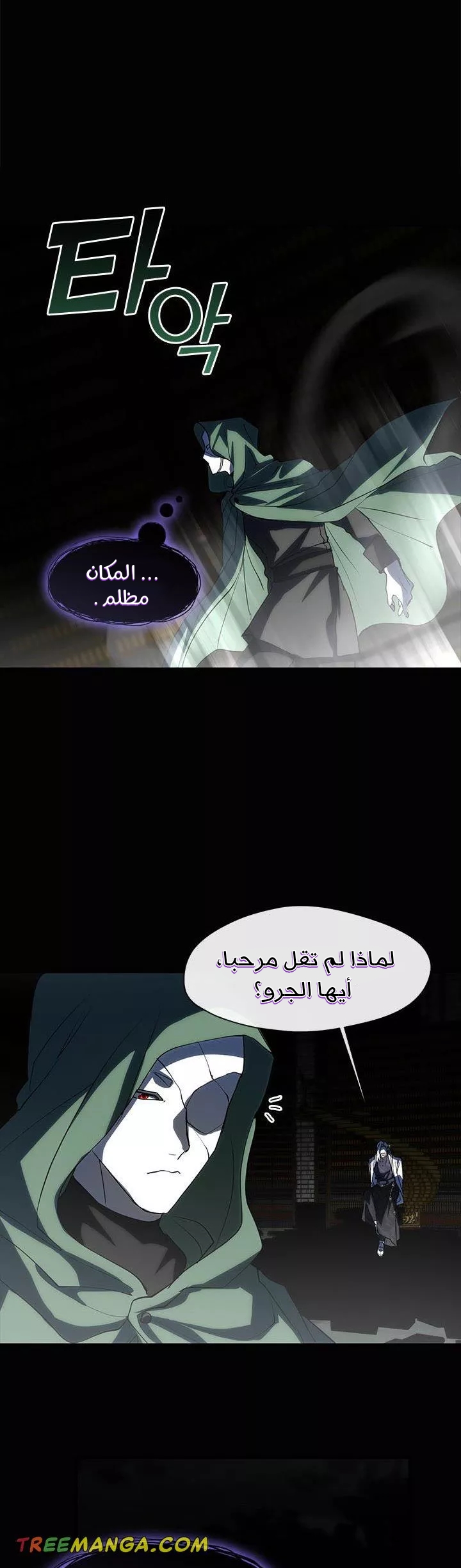 الصفحة 17