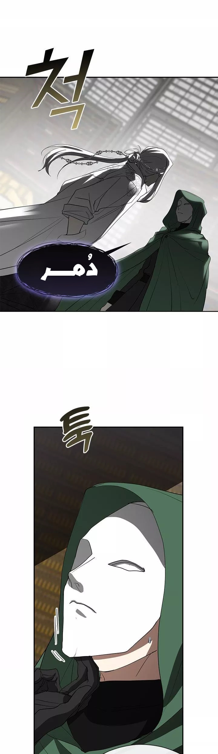 الصفحة 31