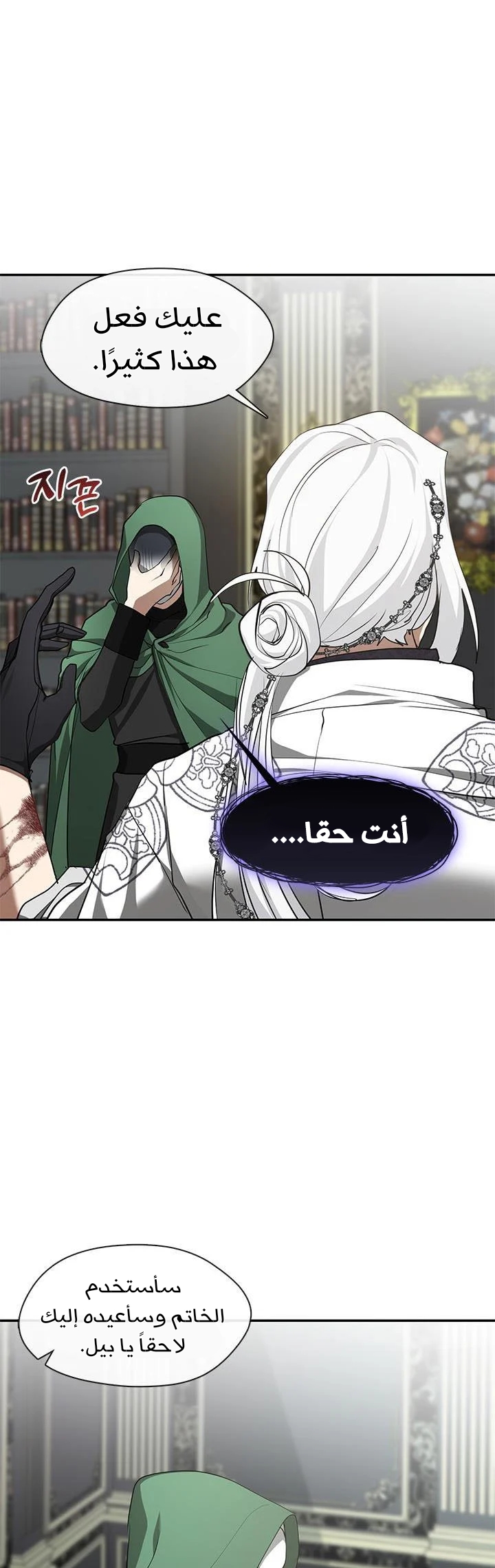 الصفحة 29
