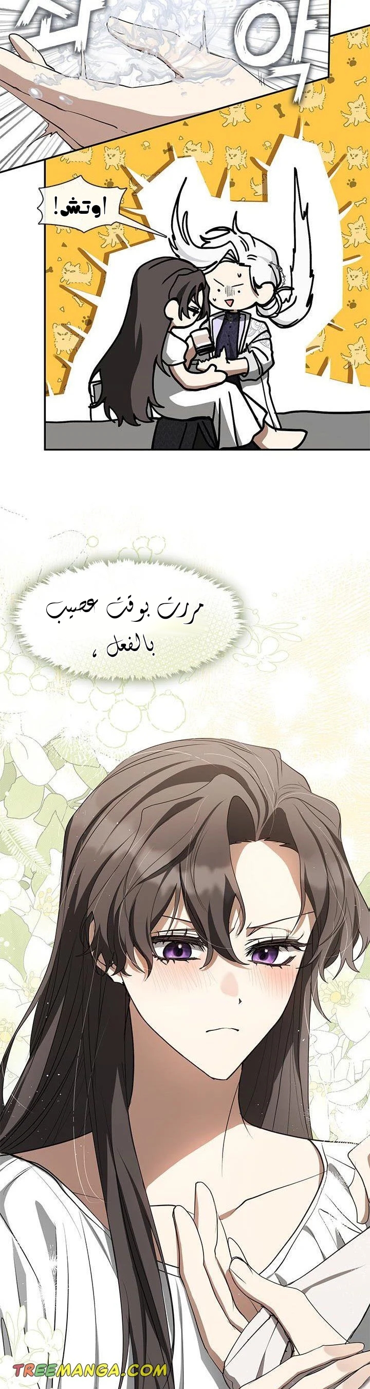 الصفحة 41