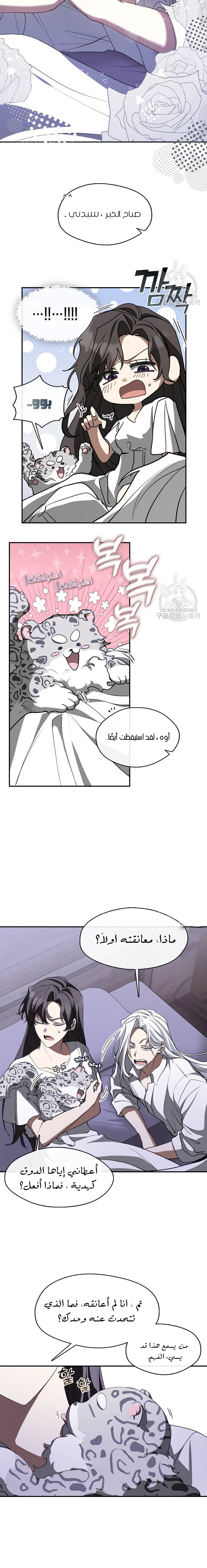 الصفحة 16