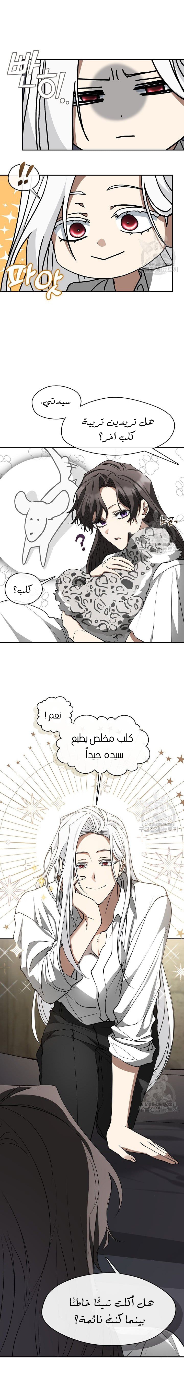 الصفحة 17
