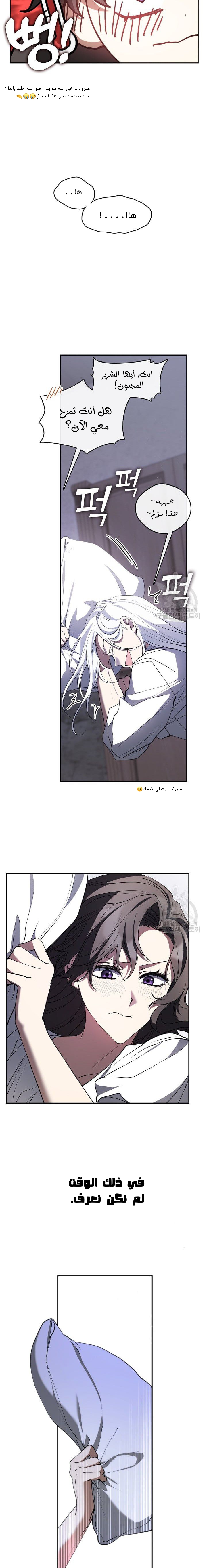الصفحة 20