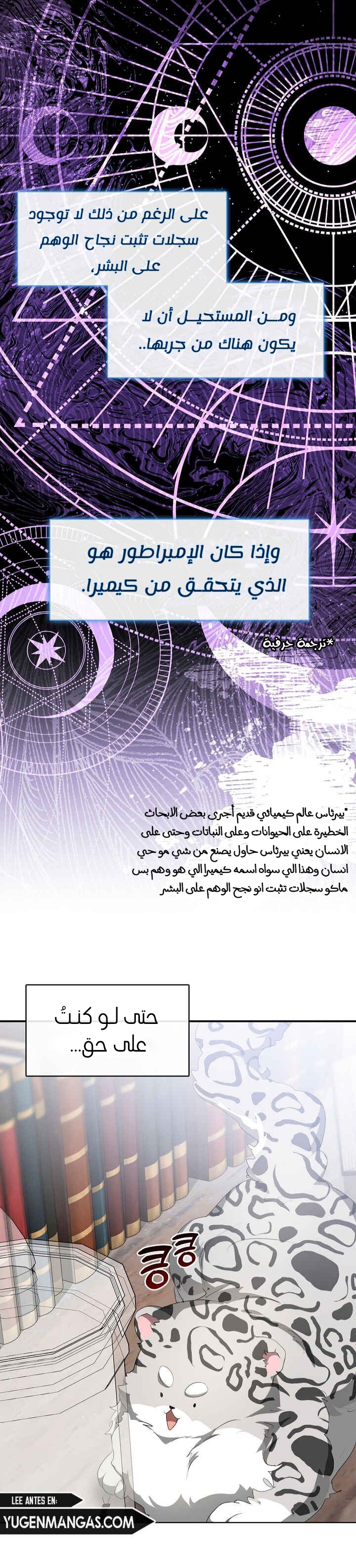 الصفحة 20