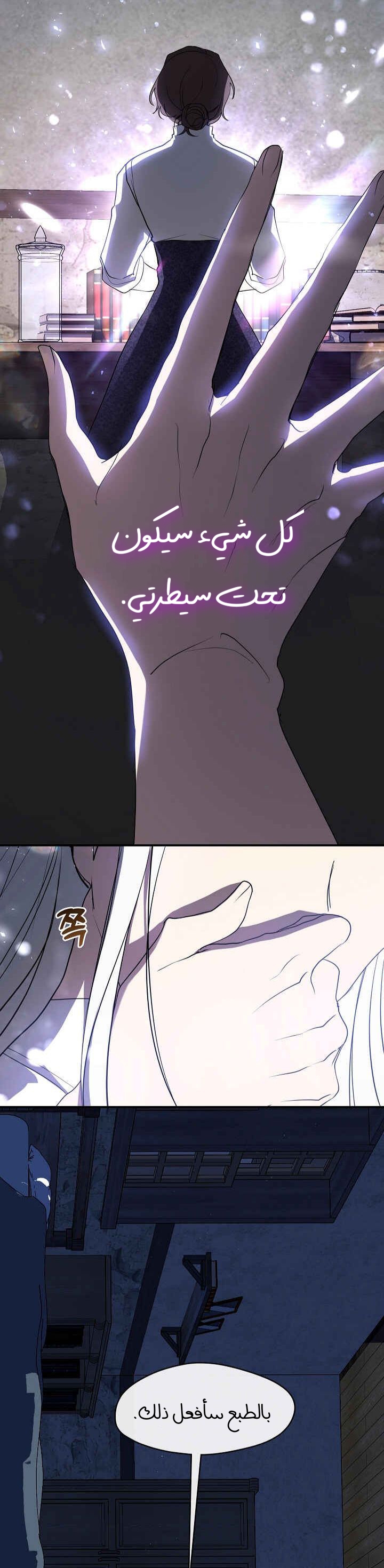 الصفحة 33