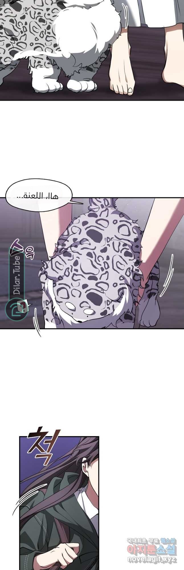 الصفحة 11