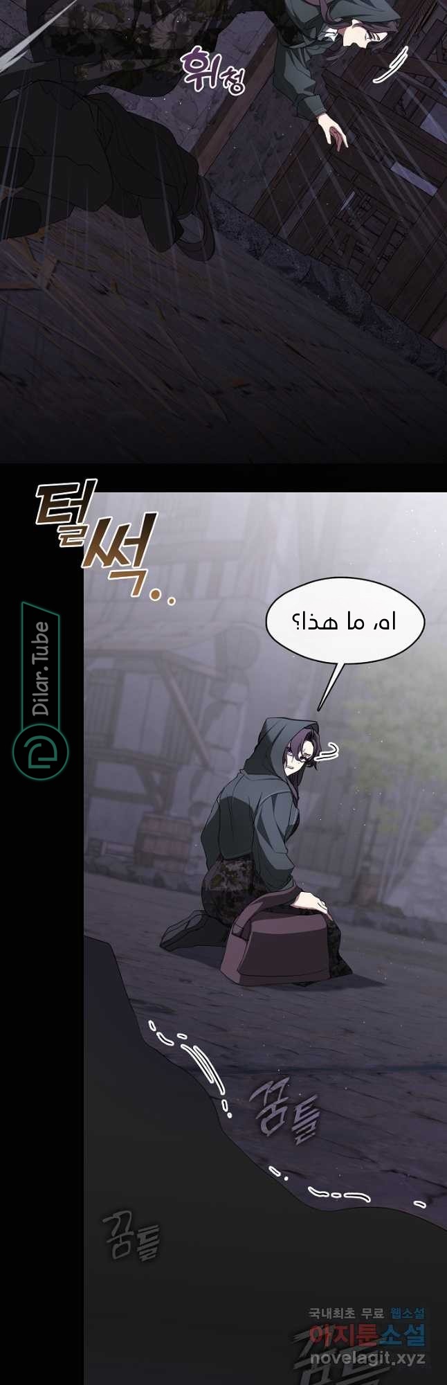 الصفحة 25