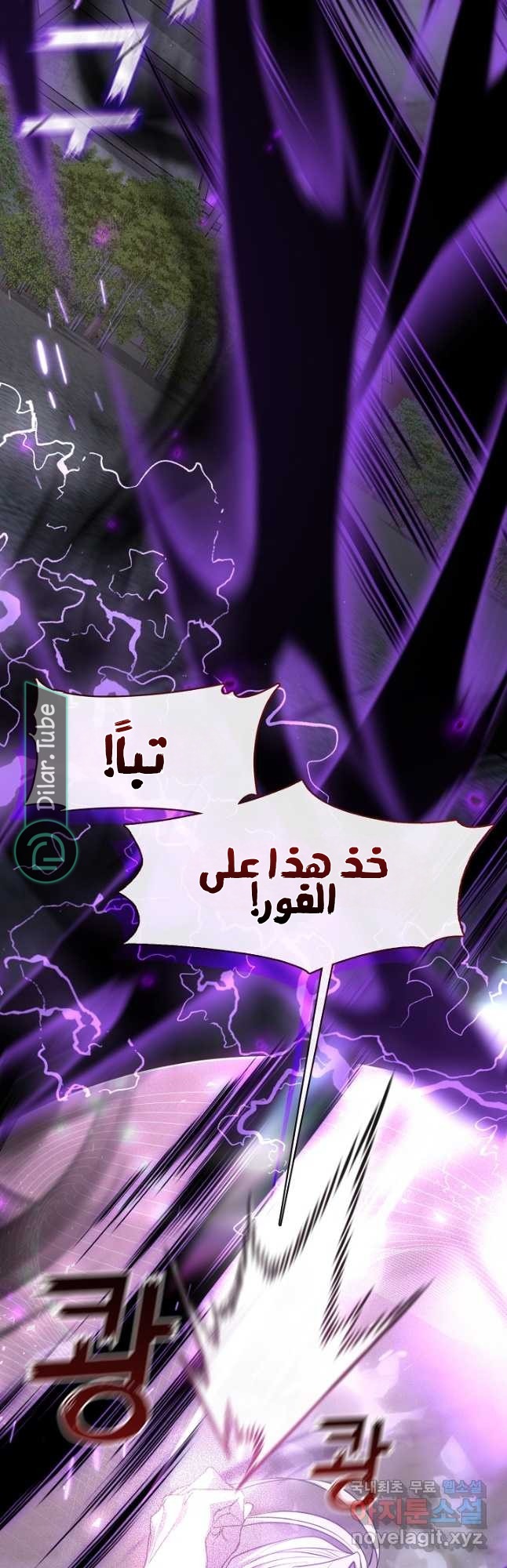 الصفحة 43