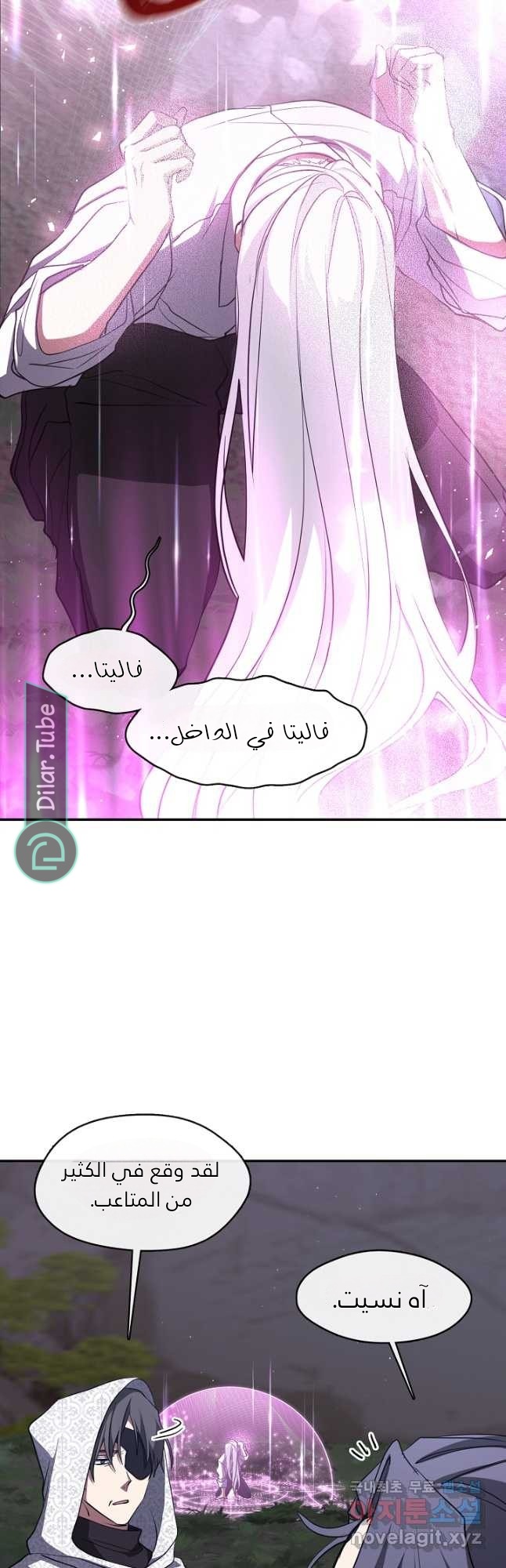 الصفحة 46