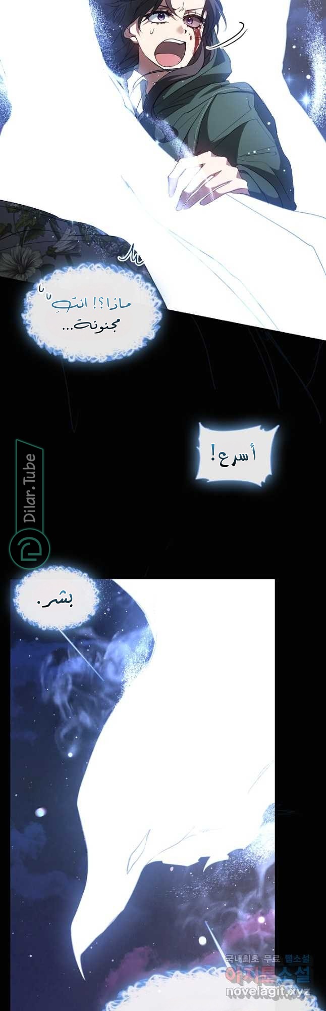 الصفحة 11