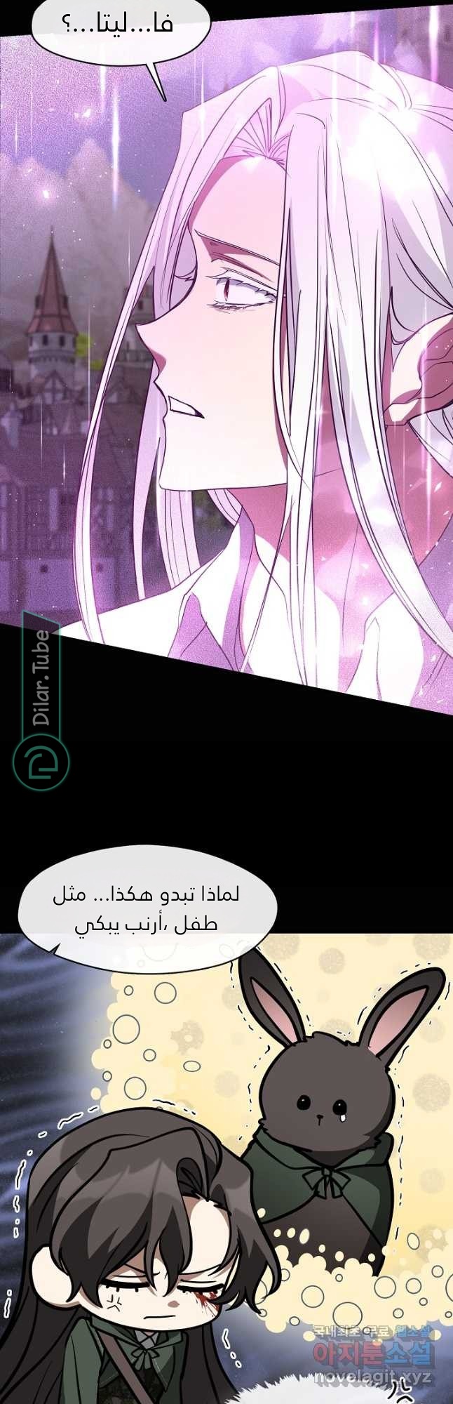 الصفحة 20