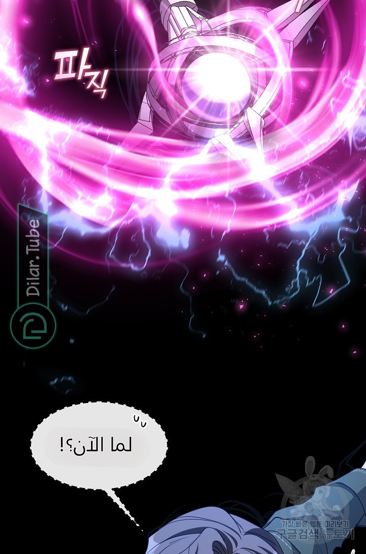 الصفحة 47