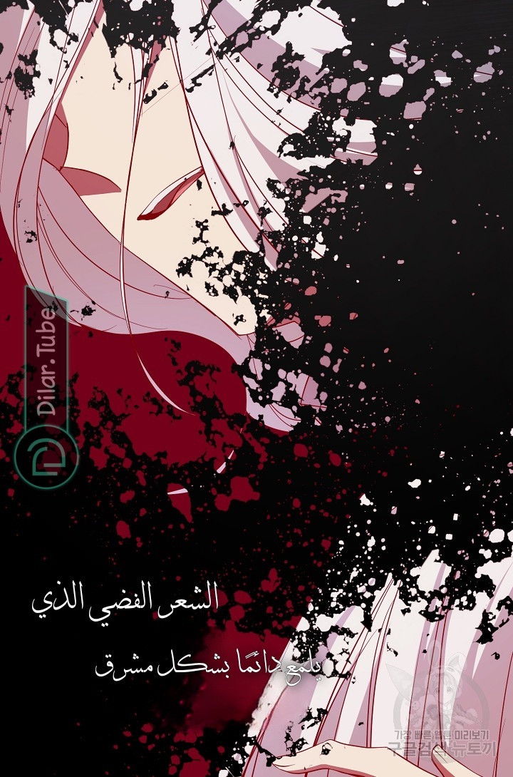 الصفحة 25