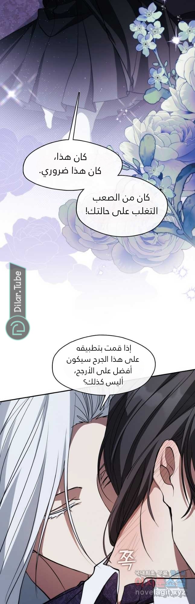 الصفحة 27