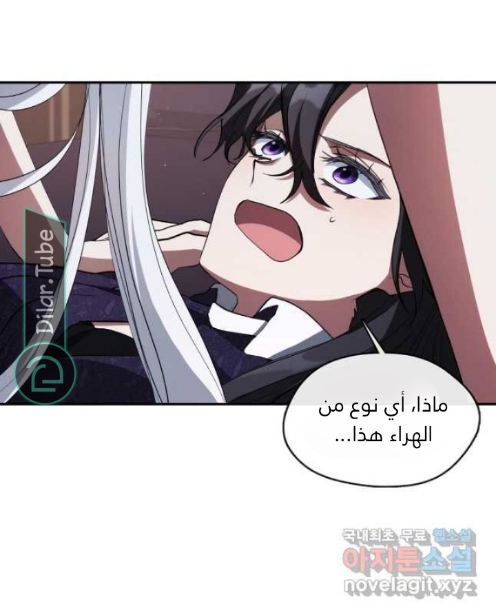 الصفحة 31