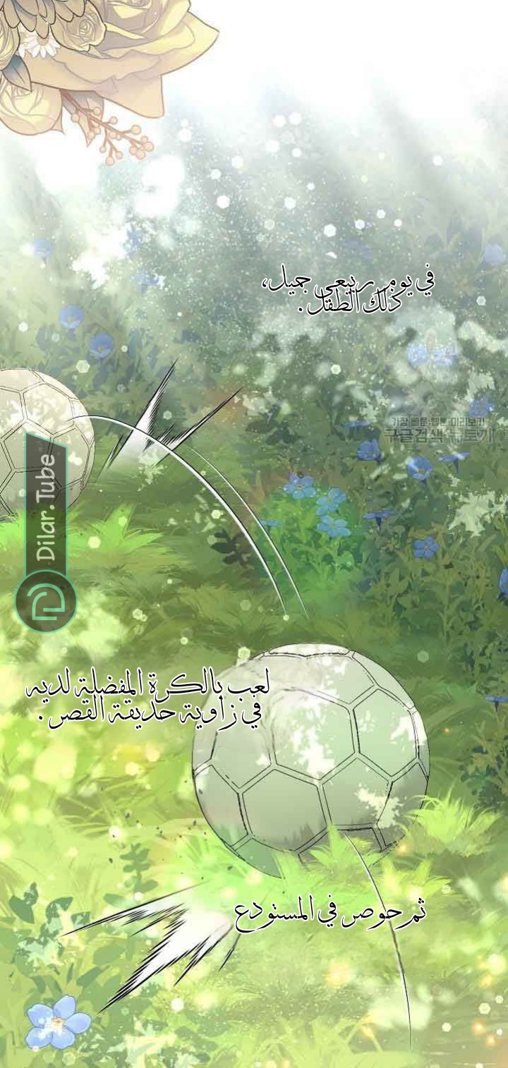 الصفحة 22