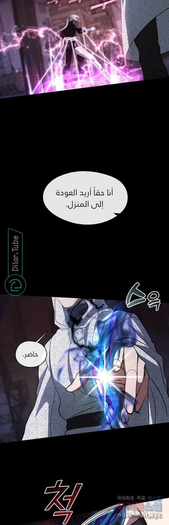 الصفحة 17