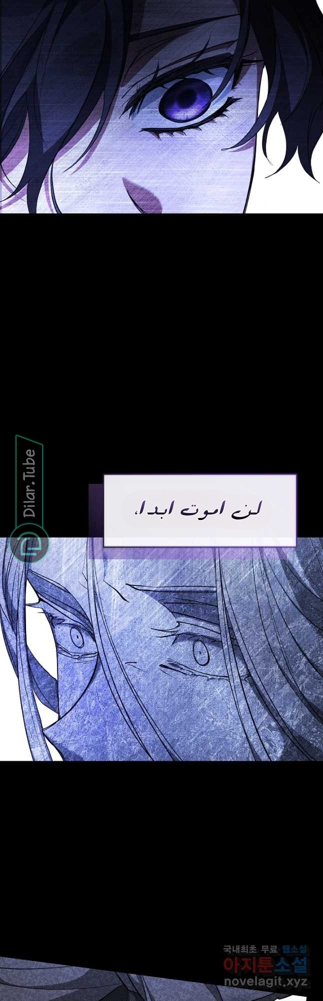 الصفحة 48