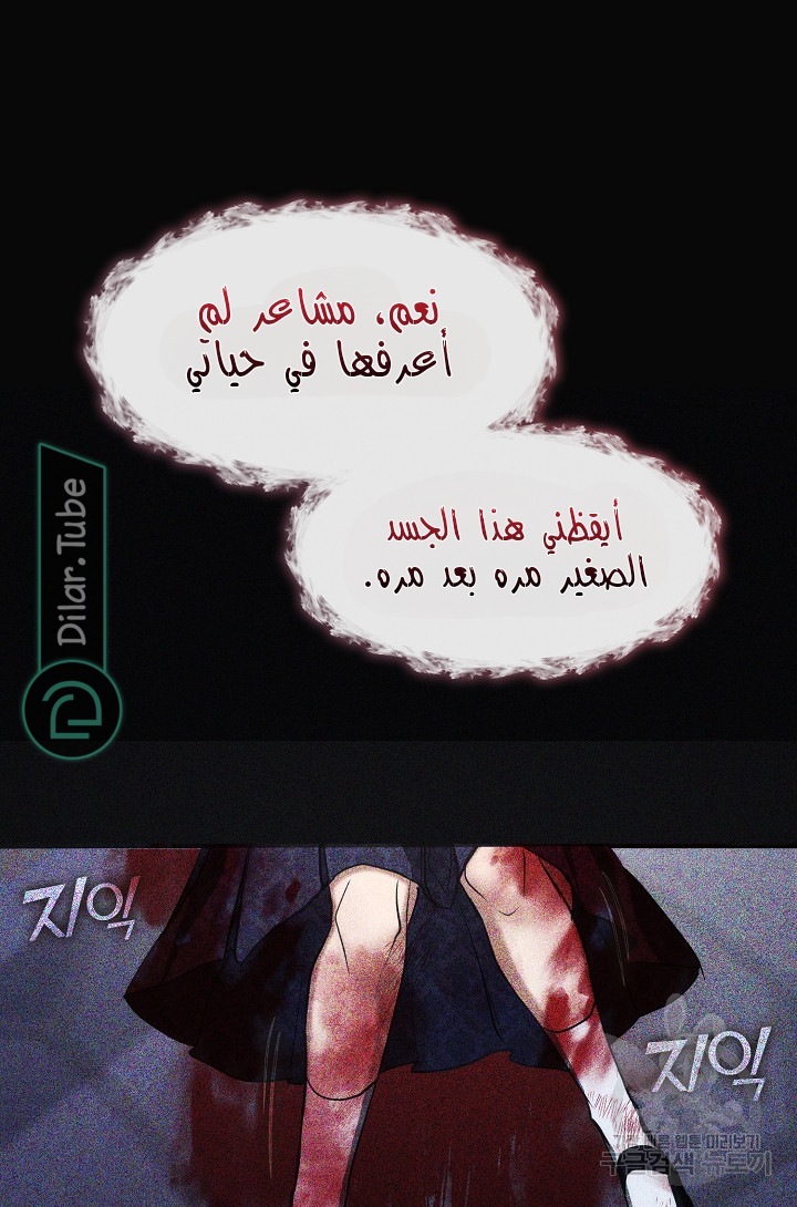 الصفحة 21