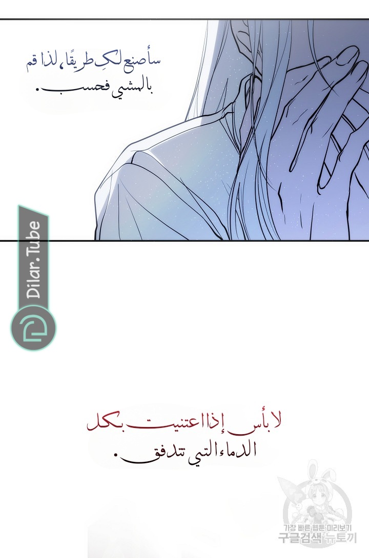 الصفحة 43