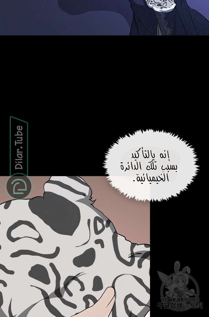 الصفحة 41