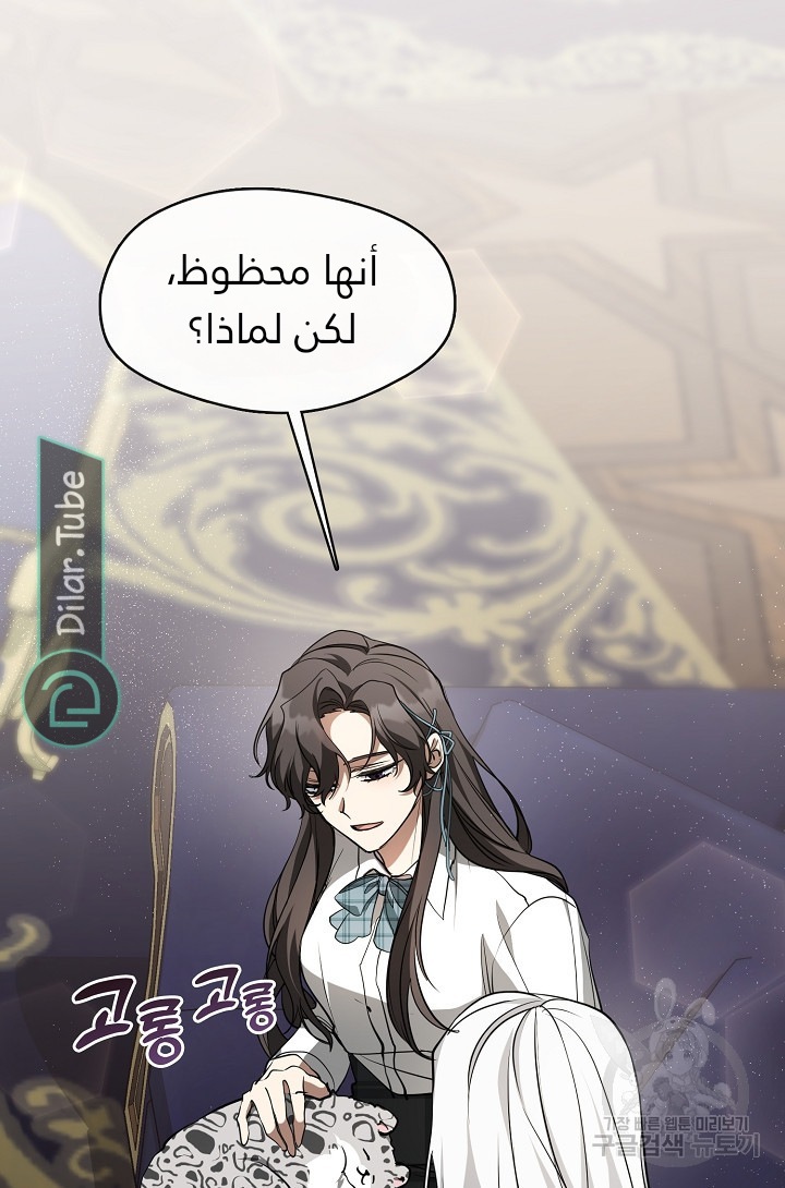 الصفحة 46